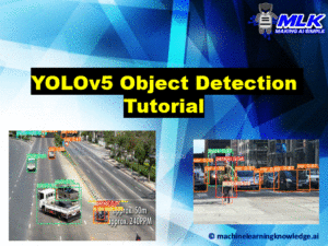 Introduction to YOLOv5 Object Detection with Tutorial