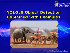 YOLOv6 Explained with Tutorial and Examples