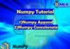 numpy.append() and numpy.concatenate() in Python