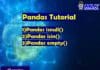 Pandas Tutorial - isnull(), isin(), empty()