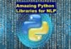 Python NLP Libraries