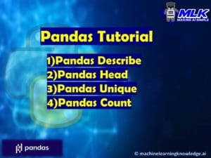 Pandas Tutorial - describe(),head(),unique() and count()