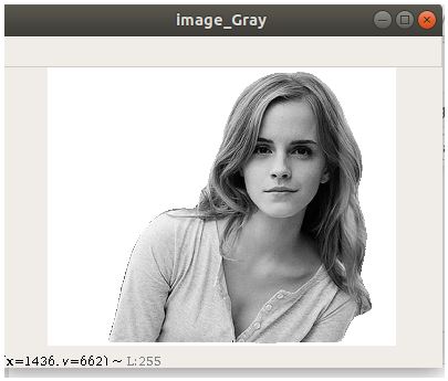 cv2.cvtColor() Gray Scale Conversion