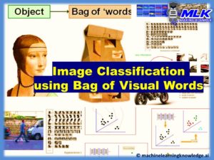 Image Classification using Bag of Visual Words Model-Feature Image