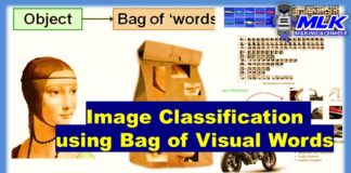 Image Classification using Bag of Visual Words Model-Feature Image