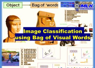 Image Classification using Bag of Visual Words Model-Feature Image
