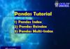 Pandas Tutorial - Index , Reindex and Multi-index