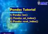 Pandas Tutorials - loc() , set_index() , reset_index()