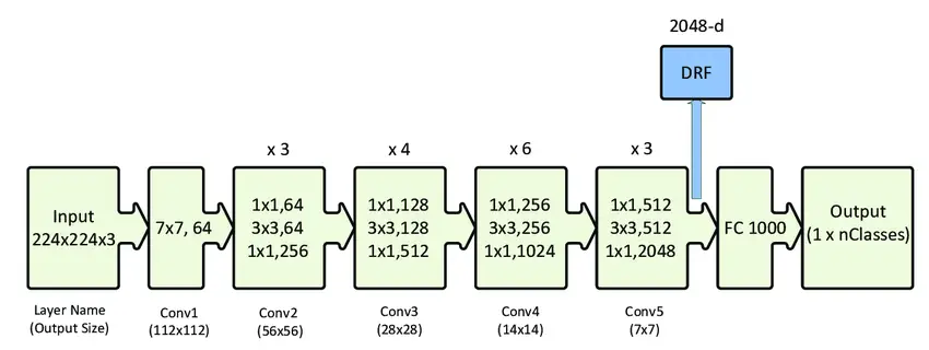 ImageNet Challenge History - ResNet-50