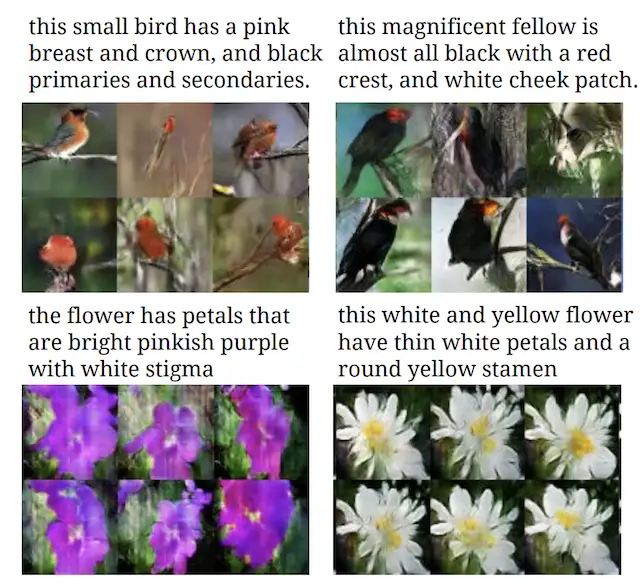 Application of GANs Text-to-Image_Example