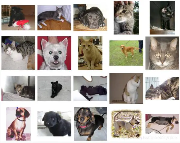 VGG16 Keras Implementation - Dogs vs Cats Dataset