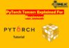 PyTorch Tensor - Explained for Beginners