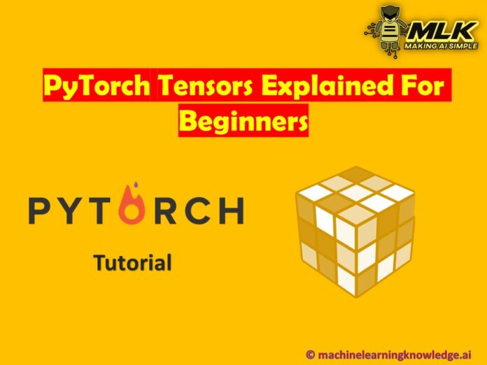 PyTorch Tensor - Explained for Beginners