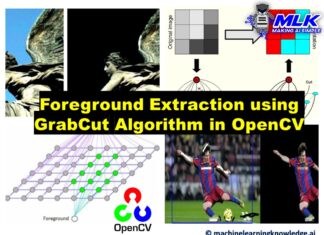 Foreground Extraction using Grabcut Algorithm in Python OpenCV with Example
