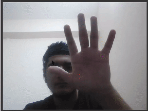 Hand Pose Detection Output