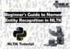 Named Entity Recognition (NER) in Python NLTK Library