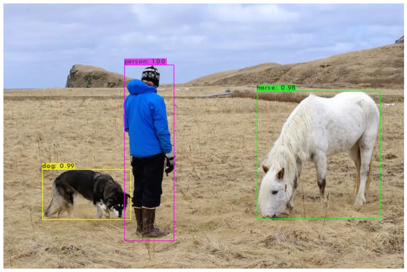 YOLOv4 object detection tutorial on Image