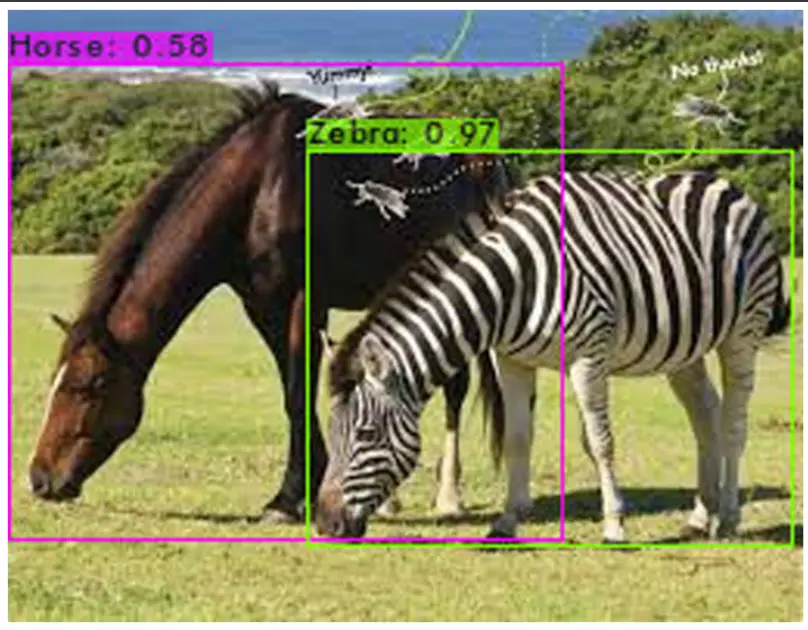 custom yolov4 object detection - Output