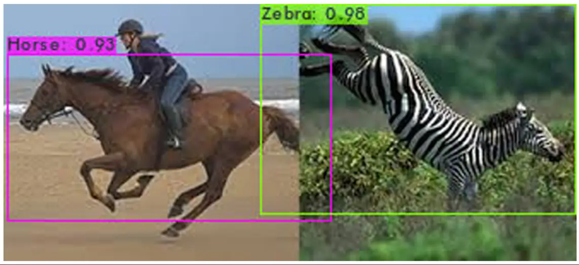 custom yolov4 object detection - Output