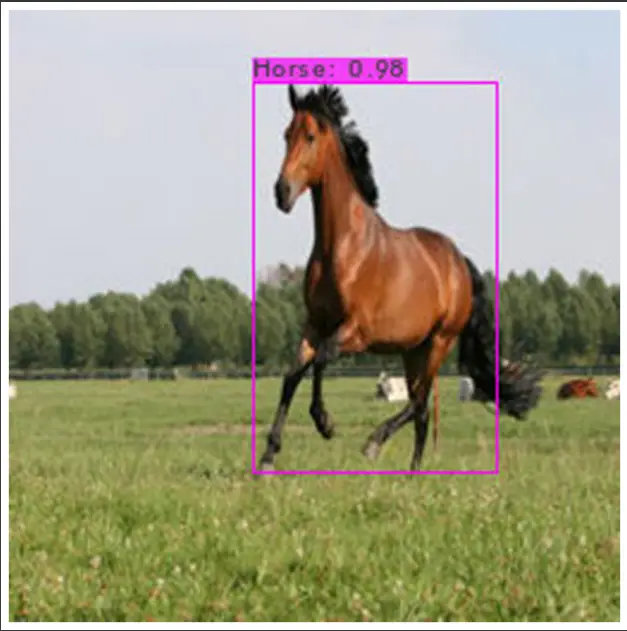 custom yolov4 object detection - Output