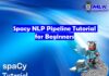 Spacy NLP Pipeline Tutorial for Beginners