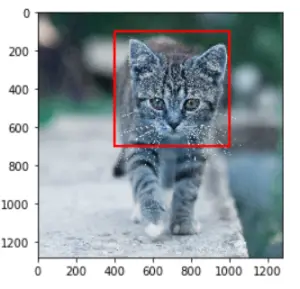 Learn To Draw Rectangle In OpenCV Python Using Cv2.rectangle() With ...