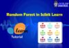 Python Sklearn Random Forest Classifier Tutorial with Example