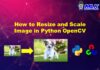 How to Scale and Resize Image in Python with OpenCV cv2.resize()