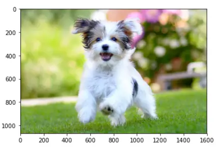 cv2.resize() Example - Up-Scale Image to Double