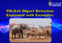 YOLOv6 Explained with Tutorial and Examples