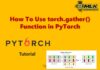 How to use torch.gather() Function in PyTorch with Examples