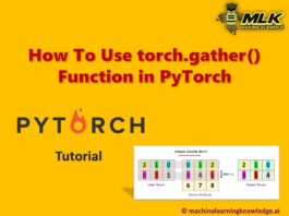 How to use torch.gather() Function in PyTorch with Examples