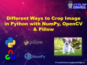 Crop Image in Python using NumPy, Pillow and OpenCV